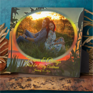 Placa Expositora El Río Pitillal para siempre y siempre 2009