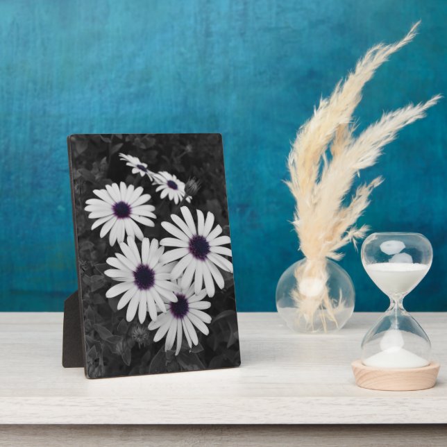 Placa Expositora El sutil contraste de la naturaleza (Lado)