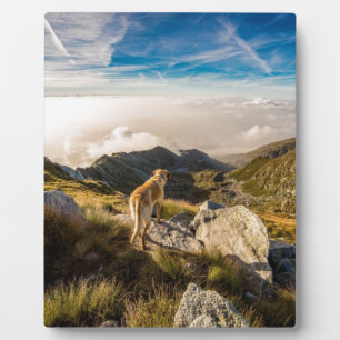 Placa Expositora El viaje