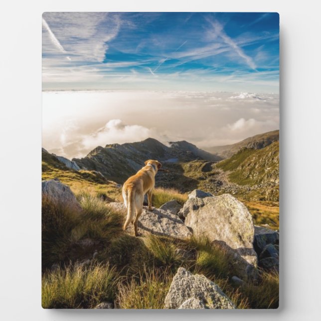 Placa Expositora El viaje (Frente)