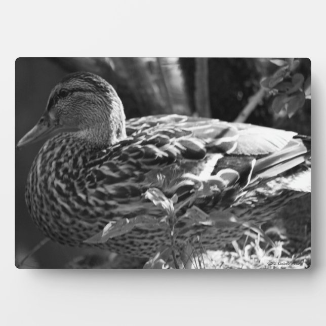 Placa Expositora El vigilante (Frente)