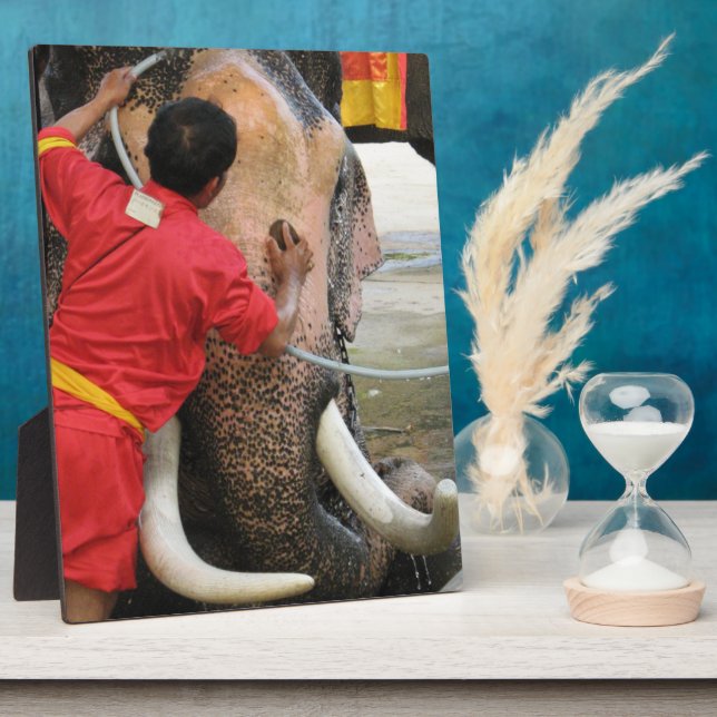 Placa Expositora Elefante Bathtime... Ayutthaya, Tailandia (Lado)