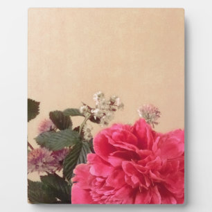 Placa Expositora Elegante Crema Rosa Floral