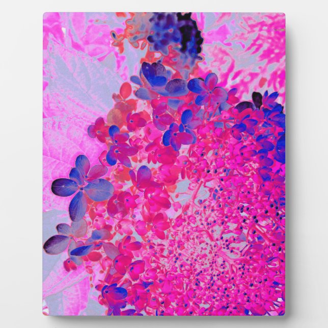 Placa Expositora Elegante Fuchsia e Hidrangea Luminosa Azul Oscuro (Frente)