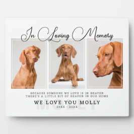 Placa Expositora Elegante memorial para mascotas con 3 fotos en col