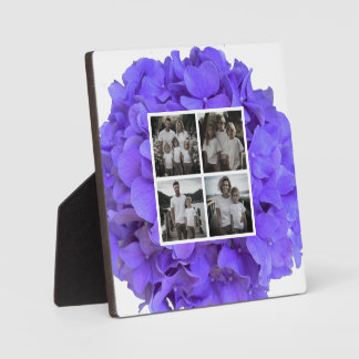 Placa Expositora Elegantes hortensias florales de lavanda lila púrp