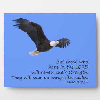 Placa Expositora En Alas Como La Plata De Las Águilas