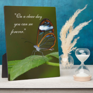 Placa Expositora "En diseño de la mariposa de Glasswing de un día
