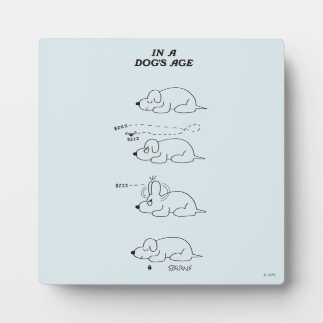 Placa Expositora En la edad de un perro (Frente)