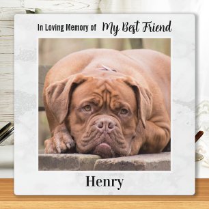 Placa Expositora En Memoria - Amigo Fiel Mascota Memorial