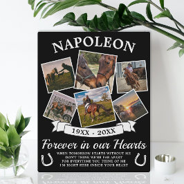 Placa Expositora En Memoria Amorosa Caballo