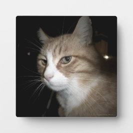 Placa Expositora ¿En qué está pensando?