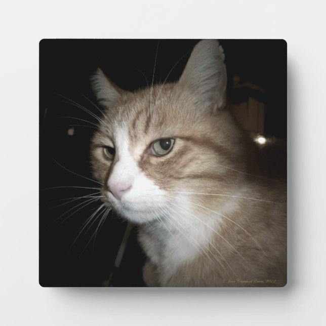 Placa Expositora ¿En qué está pensando? (Frente)