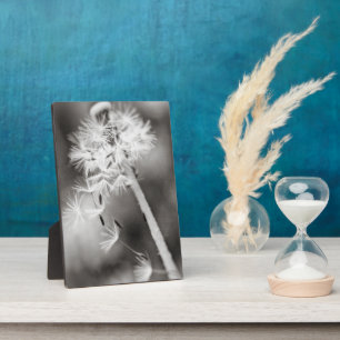 Placa Expositora Enviando deseos de salida