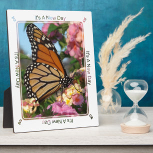 Placa Expositora Es un nuevo día (mariposa monarca)