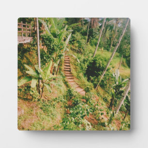 Placa Expositora Escalera de bosques lluviosos de Bali