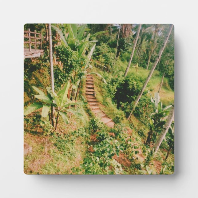 Placa Expositora Escalera de bosques lluviosos de Bali (Frente)