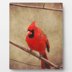 Placa Expositora Escarlata