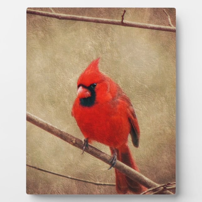 Placa Expositora Escarlata (Frente)