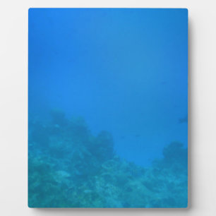 Placa Expositora Escena de fondo subacuática