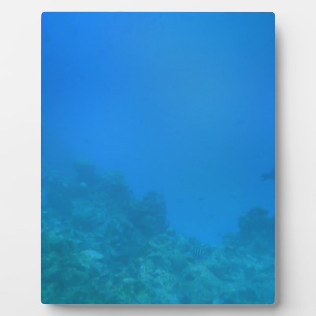 Placa Expositora Escena de fondo subacuática (Frente)