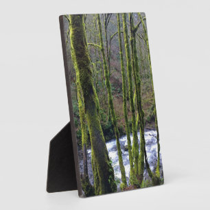 Placa Expositora Escurrimiento desde las cataratas del velo de novi