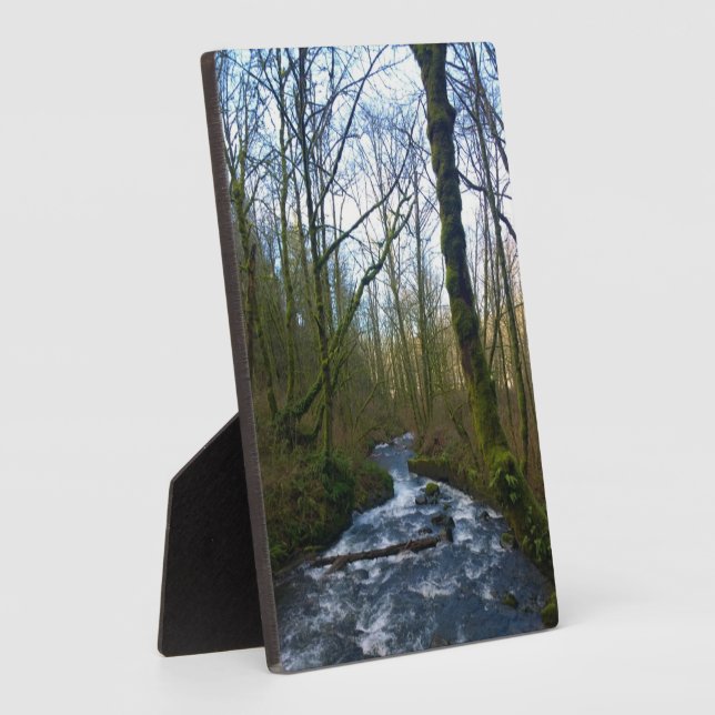 Placa Expositora Escurrimiento desde las cataratas del velo de novi (Lado)