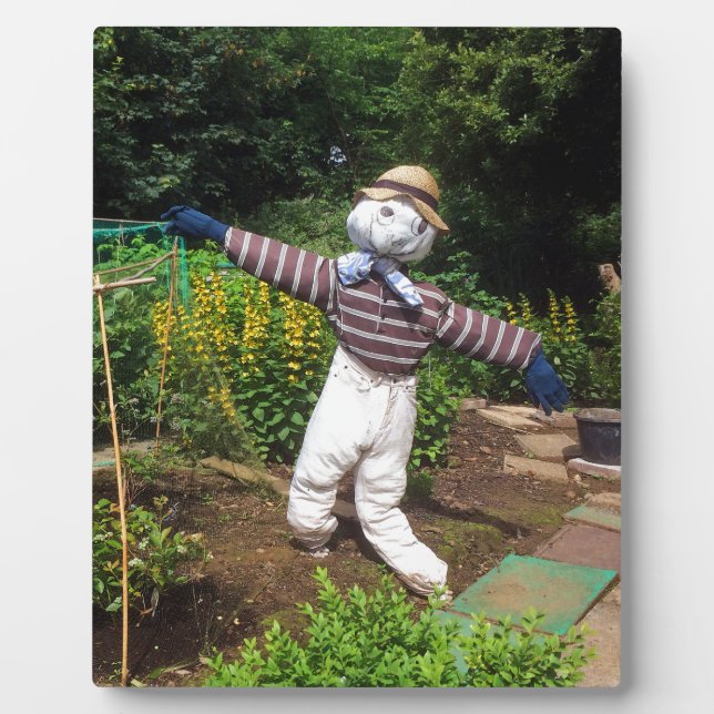 Placa Expositora Espantapájaros divertidos (Frente)