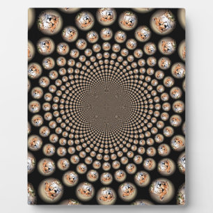 Placa Expositora Espectáculo de espina chita - Frenzy felino: color