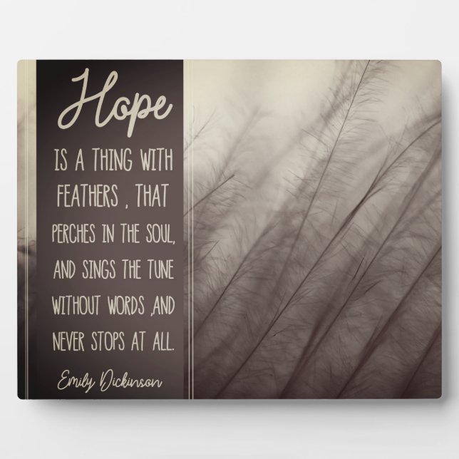 Placa Expositora ESPERANZA Una Cosa Con Las Pies (Frente)