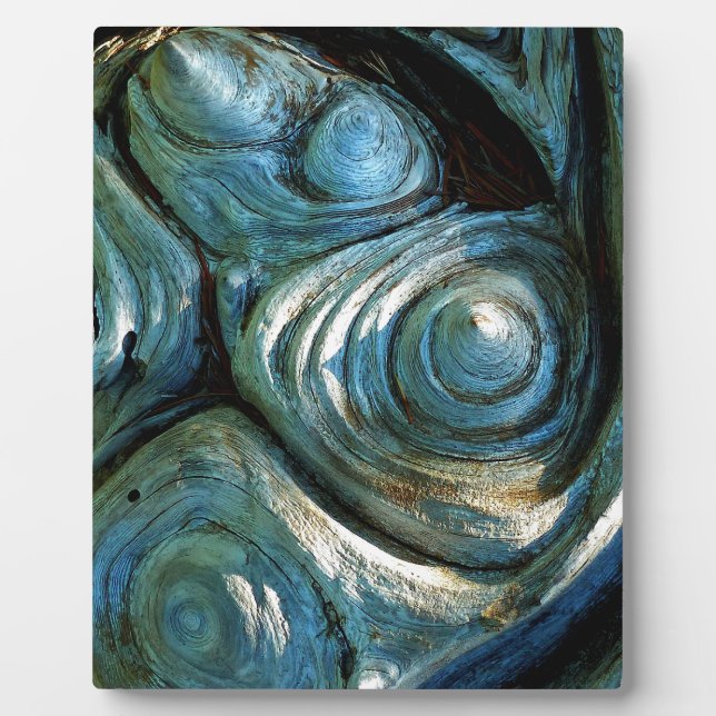 Placa Expositora Espirales de madera (Frente)