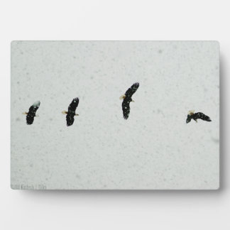 Placa Expositora Espíritu del vuelo