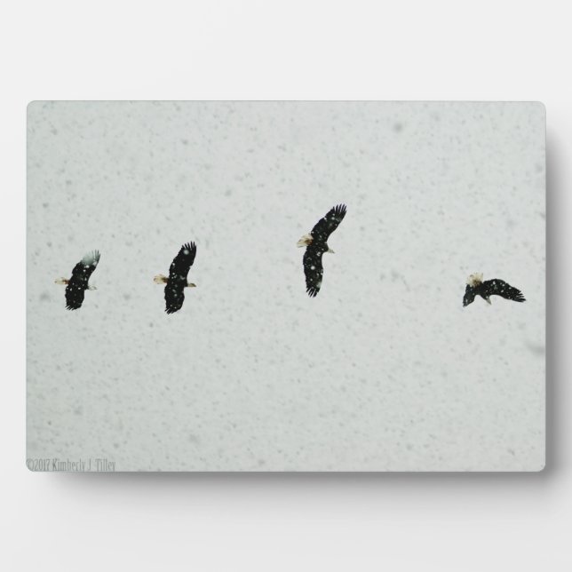 Placa Expositora Espíritu del vuelo (Frente)