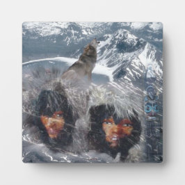 Placa Expositora Espíritu nativo en Alaska