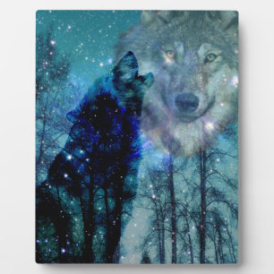 Placa Expositora Espíritu salvaje