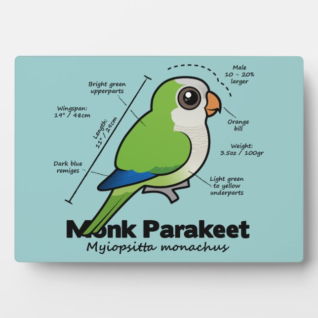 Placa Expositora Estadísticas de Monk Parakeet (Frente)