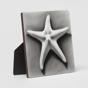 Placa Expositora Estrella de mar en blanco y negro