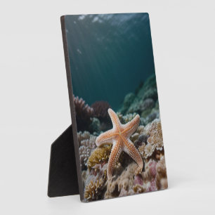 Placa Expositora Estrellas de mar en el mar profundo