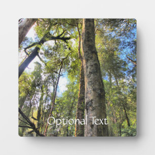 Placa Expositora Eucaliptus Gum Trees de la selva tropical australi