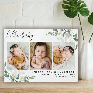 Placa Expositora Eucalyptus 3 Foto Estadísticas de nacimiento de be