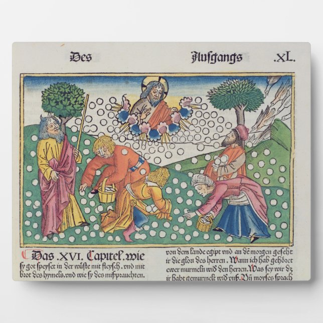 Placa Expositora Éxodo 16 13-22 Dios provee codorniz y maná al (Frente)