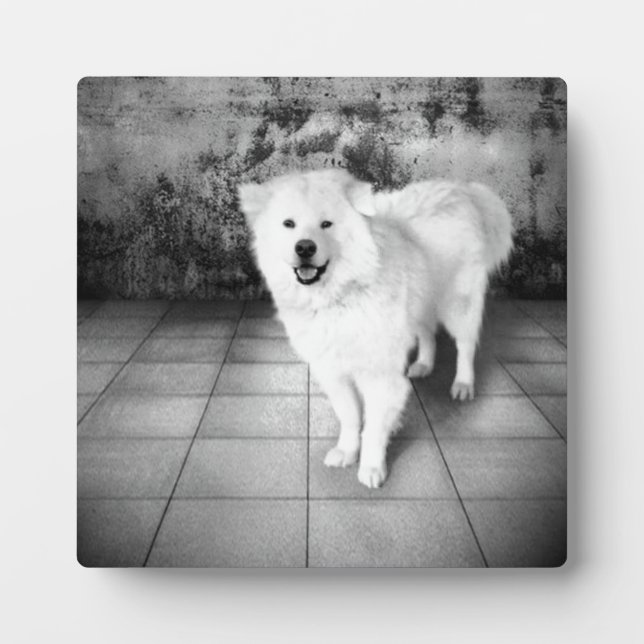 Placa Expositora Faithful Love (Frente)