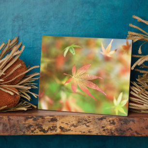 Placa Expositora Fall Filigree Plaque