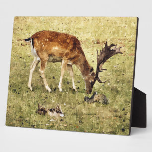 PLACA EXPOSITORA FALLOW DEER