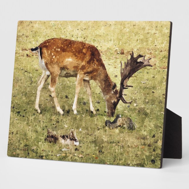 PLACA EXPOSITORA FALLOW DEER (Lado)