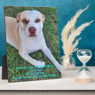 Placa Expositora Falta mi cachorro