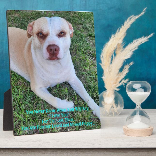 Placa Expositora Falta mi cachorro (Lado)