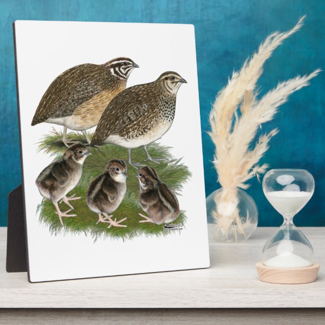 Placa Expositora Familia Coturnix Quail (Lado)