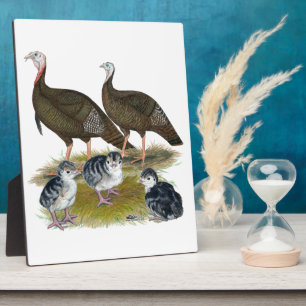 Placa Expositora Familia de pavos salvajes del este