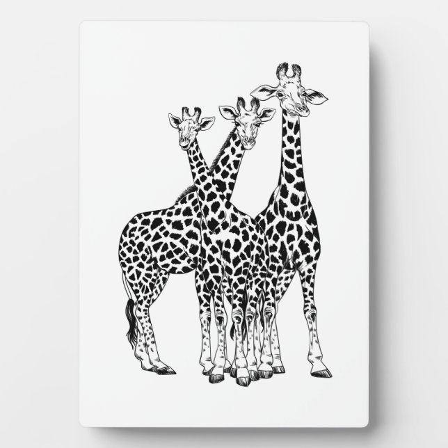 Placa Expositora Familia Giraffe (Frente)